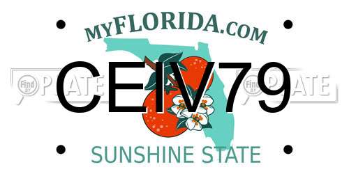CEIV79 Florida License Plate