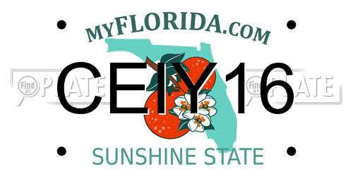 CEIY16 Florida License Plate