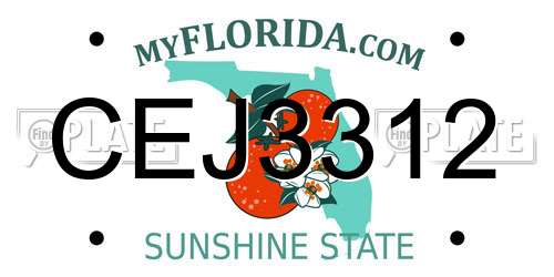 CEJ3312 Florida License Plate