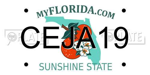CEJA19 Florida License Plate