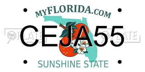 CEJA55 Florida License Plate