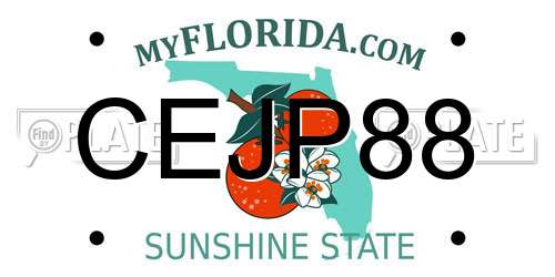 CEJP88 Florida License Plate