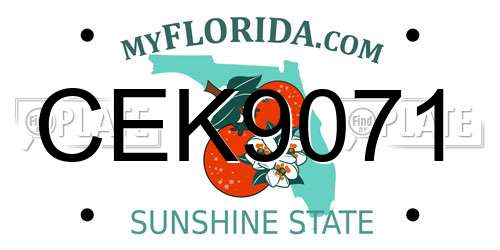 CEK9071 Florida License Plate