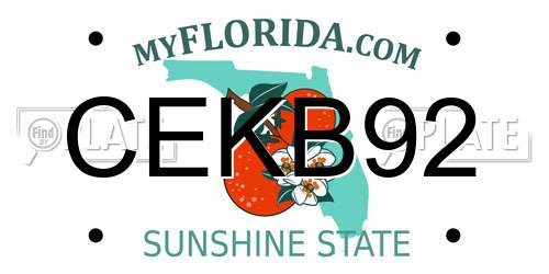 CEKB92 Florida License Plate