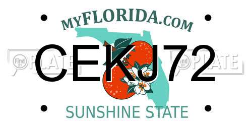 CEKJ72 Florida License Plate
