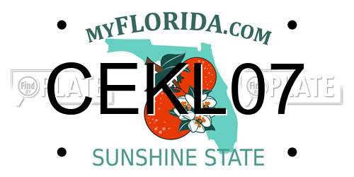 CEKL07 Florida License Plate