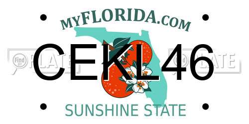 CEKL46 Florida License Plate