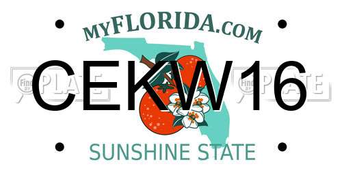 CEKW16 Florida License Plate