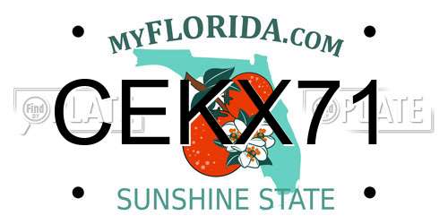CEKX71 Florida License Plate
