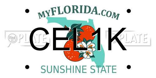 CEL1K Florida License Plate