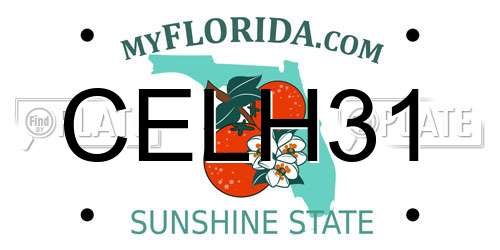 CELH31 Florida License Plate