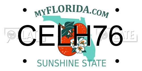 CELH76 Florida License Plate