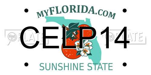 CELP14 Florida License Plate