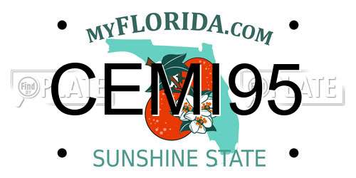 CEMI95 Florida License Plate