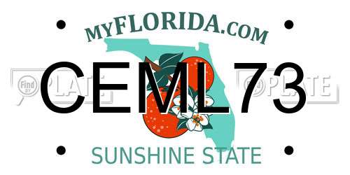 CEML73 Florida License Plate