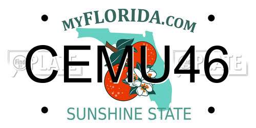CEMU46 Florida License Plate