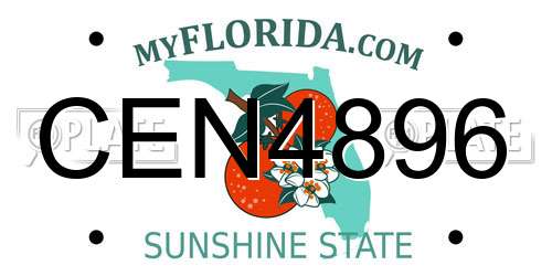 CEN4896 Florida License Plate