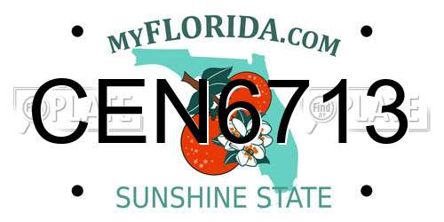 CEN6713 Florida License Plate