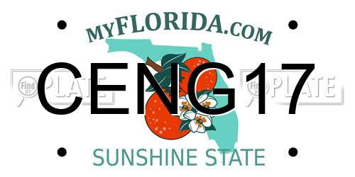 CENG17 Florida License Plate