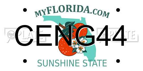 CENG44 Florida License Plate