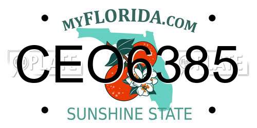 CEO6385 Florida License Plate