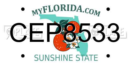 CEP8533 Florida License Plate