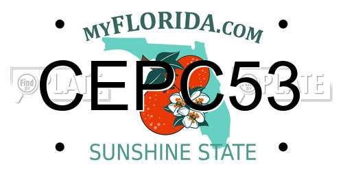 CEPC53 Florida License Plate