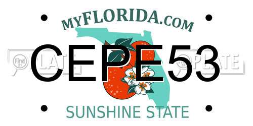 CEPE53 Florida License Plate