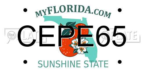 CEPE65 Florida License Plate