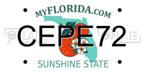 CEPE72 Florida License Plate