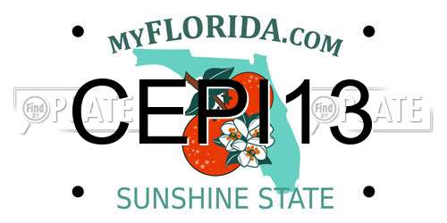 CEPI13 Florida License Plate