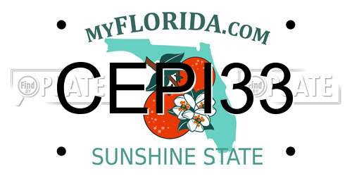 CEPI33 Florida License Plate