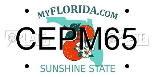 CEPM65 Florida License Plate