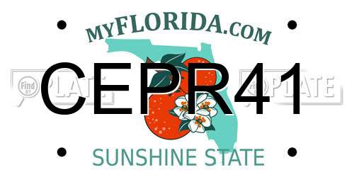 CEPR41 Florida License Plate