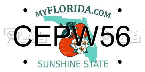CEPW56 Florida License Plate