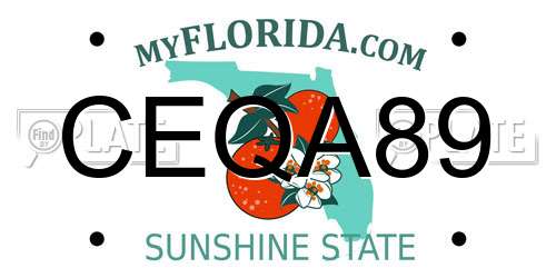 CEQA89 Florida License Plate