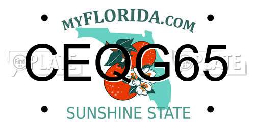 CEQG65 Florida License Plate