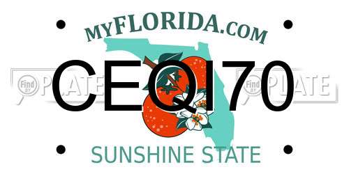 CEQI70 Florida License Plate