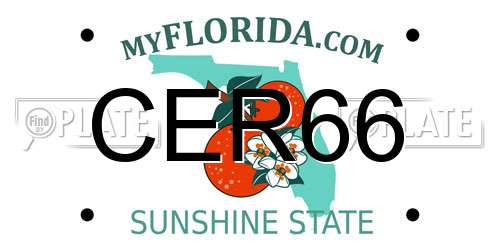 CER66 Florida License Plate