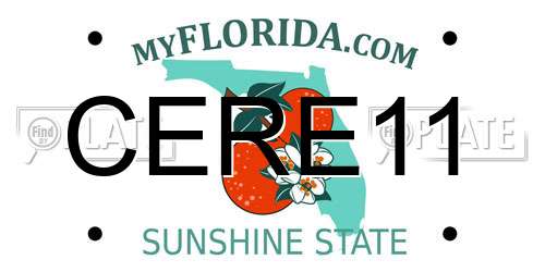 CERE11 Florida License Plate