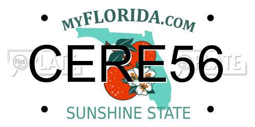 CERE56 Florida License Plate
