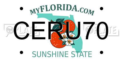 CERU70 Florida License Plate