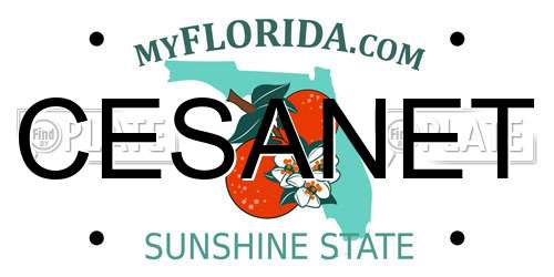 CESANET Florida License Plate
