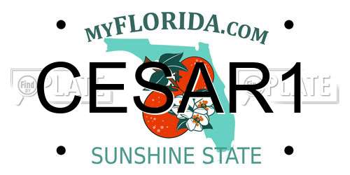 CESAR1 Florida License Plate