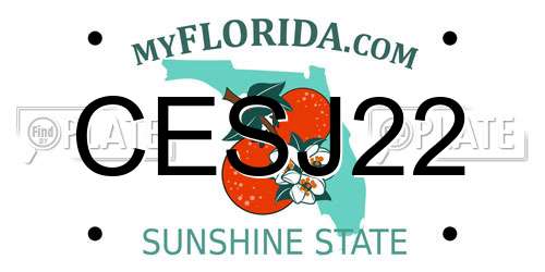 CESJ22 Florida License Plate