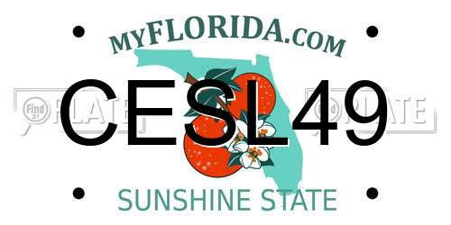 CESL49 Florida License Plate