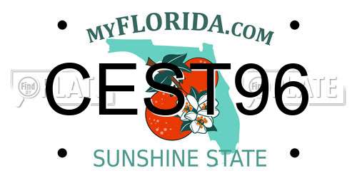 CEST96 Florida License Plate