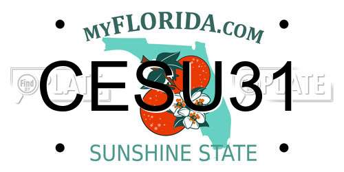 CESU31 Florida License Plate