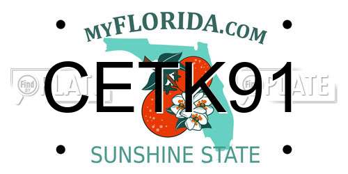 CETK91 Florida License Plate