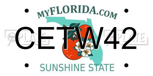 CETW42 Florida License Plate